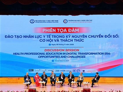 PIVIE at VAME 2025: A Strategic Language Bridge for Vietnam’s National Medical Education Conference